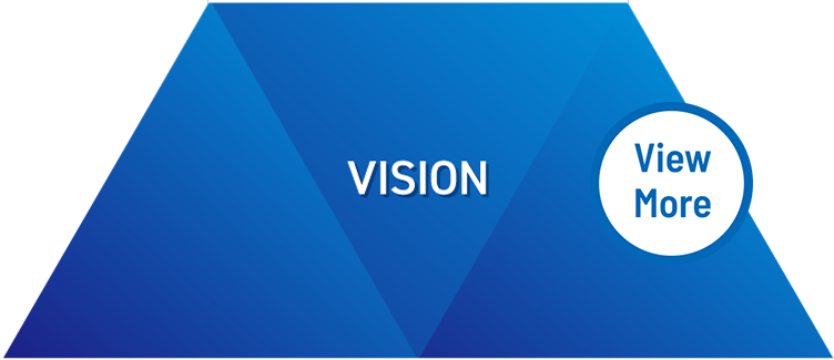 VISION